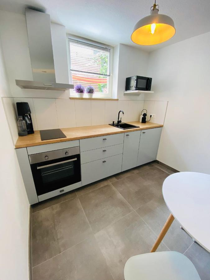 Apartment Regener Lörrach Exteriör bild